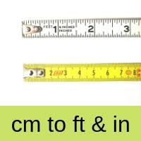 The unit of foot derived from the human foot. Convert Centimetres To Feet And Inches Plus Cm To Ft And In Table