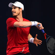 Andy murray loses in south of france open first round. Andy Murray Devastated As He Shelves Australian Open Plans Australian Open The Guardian