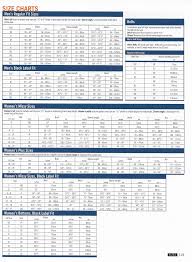 Harley Davidson Engine Dimension Diagram Harley Davidson