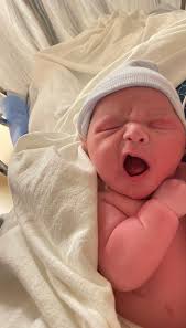 Lewis Shapiro (@LewisShapiro)