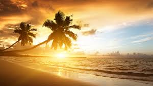 Summer sea wave beach palm tree summer special flight poster. Wallpaper Beach 5k 4k Wallpaper Ocean Sunset Palm Trees Vacation Journey Nature 615