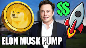 This is the first time the price of doge reacted to the tweet of elon musk What The Hell Is Going On With Doge Coin Elon Musk Pump Diffcoin