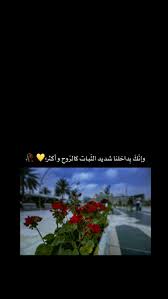 pin by safa adnan on ق ـبسات م ن ن ور العاشق ين photo ideas girl quotes for book lovers good morning coffee