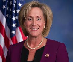 Pair of Democrats vie for chance to challenge Wagner