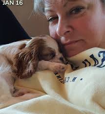 What can be done for a 7-year-old overweight Cavalier King Charles Spaniel  with sleep apnea?