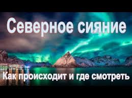 Eyeni.mobi.,paradise birds katrin pictures free. Katrin Show 1 Polar Lights Southcorner Barber