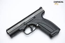 The research and development team was led by the austrian firearms designer wilhelm bubits who previously had designed the steyr mpistol. Pin On Guns
