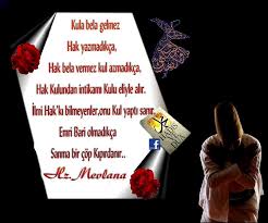 Check spelling or type a new query. 2013 Yazili Dini Resimler6 Kisa Bilgiler