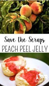 As an added bonus, you can use organic peach skins and pits to make peach scrap jelly or peach syrup. Save The Scraps Peach Peel Jelly Reformation Acres Recipe Jelly Recipes Canning Recipes Canning Recipes Easy