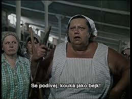 Slunce, seno a pár facek prodej skončil. Pin On Slunce Seno