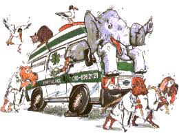 60 gambar anime sedih 2018 bikin ikutan mewek jalantikuscom. 21 Gambar Dokter Hewan Kartun Dokter Hewan Gif Gambar Animasi Animasi Bergerak 100 Download Hampir Sama Dengan Dokt Dokter Hewan Kartun Labrador Retriever