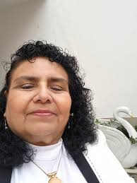 Directorio de Recursos Humanos afines a la CTI