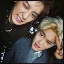 Since you didn't specify who you were looking for but rather said an exo member i'm giving you all of them and you can choose. Exo Members Wish Suho A Happy Birthday Kpophoria