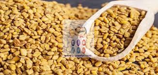 فوائد واستخدامات الحلبة Fenugreek Benefits Fenugreek Vegetables