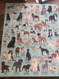 Check spelling or type a new query. Dog Lovers 1000 Piece Jigsaw Puzzle Walmart Com Walmart Com