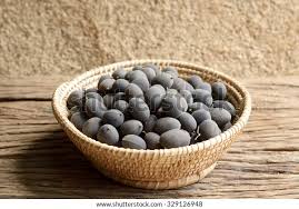 Image result for Dialium