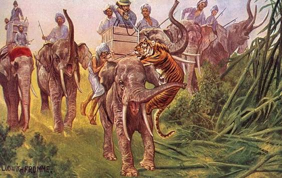 Tiger Hunting
