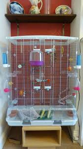 Bird Bath For Budgie Cage Hagen Vision Bird Cage Parrotcagediy Parrotcageideas Parrottips Parrotfooddiy Vision Bird Cage Pet Bird Cage Bird Cage