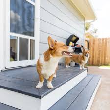 Adding a pet door just got easier. Petsafe Partners With Larson To Launch All In One Pet Storm Door