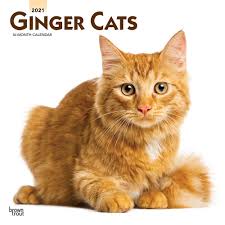 Find images of ginger cat. Ginger Cats 2021 12 X 12 Inch Monthly Square Wall Calendar Animals Cats Ginger English Spanish And French Edition Browntrout Publishers Inc Browntrout Publishers Editing Team Browntrout Publishers Design Team Browntrout Publishers