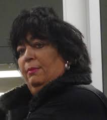 Commissioner, judgeship highlight primary