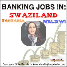 2483 finance jobs in south africa. Ceo Collections Manager And Development Finance Jobs In Africa Ca Global Finance