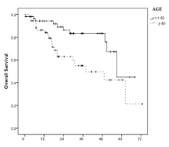 age is a prognostic factor affecting survival in lung cancer