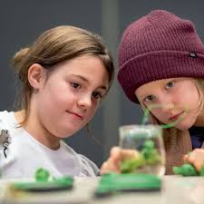 Linzer Kunstsalon 2025 im Schlossmuseum Linz