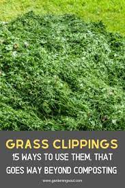 Grass Clippings 15 Ways To Use Them That Goes Way Beyond Composting Grass Clippings Compost Garden Mulch
