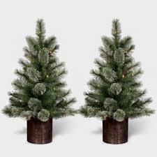 Keep your christmas forever green with this lovely traditions cashmere tree! 3ft 2pk Pre Lit Artificial Christmas Tree Virginia Pine Clear Lights Wondershop Target