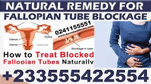 Natural Remedy For Fallopian Tube Blockage Dyroo Organics Buy Forever Living Products