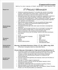 Free 9 Sample It Project Manager Resume Templates In Ms Word Pdf