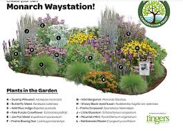 Monarch Way Station Butterfly Garden Design Butterfly Garden Beautiful Flowers Garden