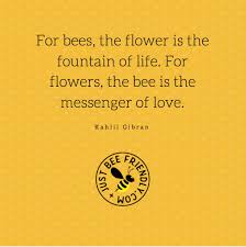 Bees tend to be pretty plump in the middle, while wasps and hornets have thinner waists and more elongated bodies. Bee Utiful Gibran Quote Share It With Everyone Bees Love Life Flowers Bee Quotes Bee Flower Quotes