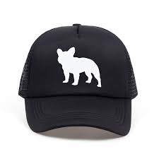 Pin On French Bulldog