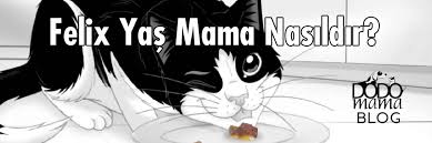 Felix Yas Mama Nasil