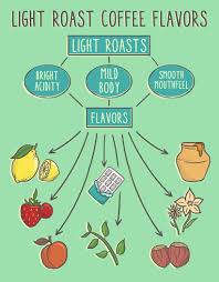 You're essentially forcing water and moisture out of the bean by evaporation. Best Light Roast Coffee Our Favorite Picks Updated For 2021