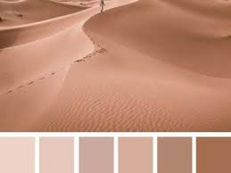 Elida Lilland Elidalilland Profil Pinterest