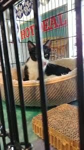 The largest city in pennsylvania, philadelphia also acts as the commercial, cultural and educational heart of the delaware valley. Pet Valu 7164 Ridge Ave Philadelphia Pa 19128 Usa
