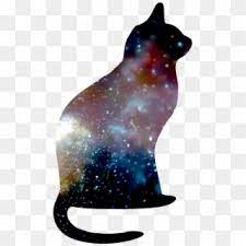 Download Cat In Space Cat In Space Png Clipart 5225920 Pikpng