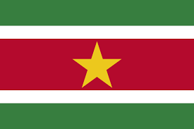 Die proportion der suriname flagge beträgt 2:3. Datei Flag Of Suriname Svg Wikipedia