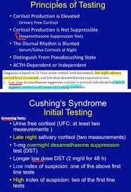Adrenal Gland Excess And Tumors Flashcards Quizlet