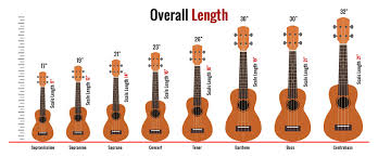 Select staff 1, click on add linked staff button, another new staff will be added in the right column, click on staff type drop down box to change it to tab. The 8 Ukulele Sizes With Comparison Chart 2021 Guitar Lobby