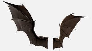 Bat Wings C4d In 2020 Bat Wings Demon Wings Render Image