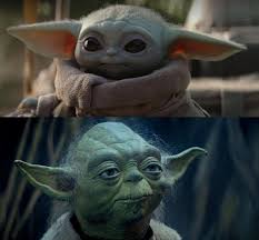 Due to this, we've collected the funniest memes and these will give you a good chuckle. So Yoda Said In Empire That He S Been Training Jedi For 800 Years He Died At 900 So That Means He Was Only Twice As Old As Baby Yoda When He Started Training
