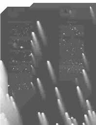 Obituaries from the Kern Valley Sun newspaper; Kern River Valley, Lake  Isabella, Kern County, California, 1969-1993, Vol. 6