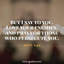 7 Major Items Of The Excellent Virtues Which Are Filled With The Divine Attributes Scripture Quotes Inner Peace Quotes Bible Quotes
