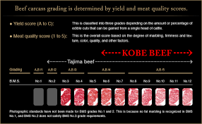 Criteria For Kobe Beef Kobe Beef