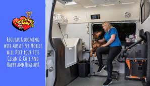 Aussie pet mobile nsv is rated 4.1 out of 5 based on 118 reviews from around the web. Regular Grooming With Aussie Pet Mobile Will Keep Your Pets Clean Cute And Happy And Healthy Aussie Pet Mobile Westchester