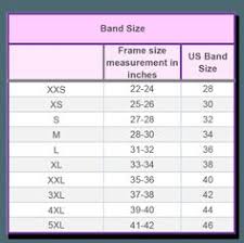 11 Best Bra Calculator Images Bra Calculator Bra Bra Sizes